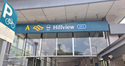 The Hillier (D23), Apartment #555287151
